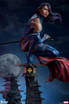Psylocke (Prototype Shown) View 4