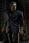 Frankenstein Collector Edition (Prototype Shown) View 1