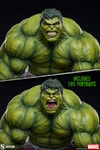 Hulk (Prototype Shown) View 7