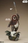 Wicket™ (Prototype Shown) View 5
