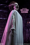 The Bride of Frankenstein (Prototype Shown) View 4