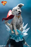 Krypto™ (Prototype Shown) View 7