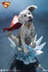 Krypto™ (Prototype Shown) View 7
