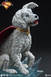 Krypto™ (Prototype Shown) View 10