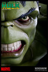Hulk View 6