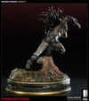 The Berserker Collector Edition View 8