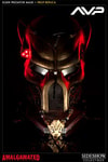Elder Predator Ceremonial Mask View 6