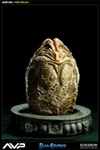 Alien Egg View 4