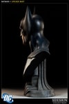 Batman View 3