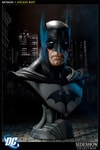 Batman View 5