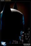 Batman View 6