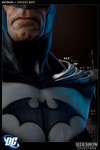 Batman View 7