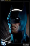Batman View 8