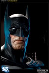 Batman View 9
