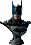 Batman View 10