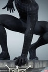 Spider-Man (Black Suit Variant)