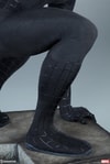 Spider-Man (Black Suit Variant)