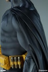 Batman View 13