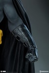 Batman View 16