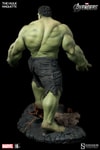 Hulk View 7