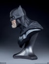 Batman View 8