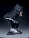 Batman View 10