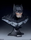 Batman View 11