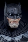 Batman View 13