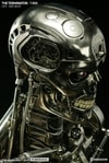 The Terminator View 11