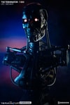 The Terminator View 16