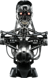 The Terminator View 19