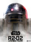 R2-D2- Prototype Shown