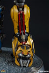Voltron View 5