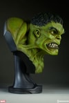 The Incredible Hulk View 9