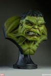 The Incredible Hulk View 10