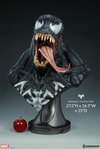 Venom View 4