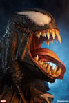 Venom View 23