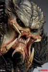 Predator Barbarian Mythos View 2