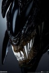 Alien Queen - Mythos
