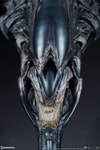Alien Queen - Mythos