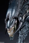 Alien Queen - Mythos