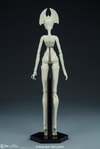 Muse of Bone: Spector Blank View 16