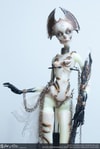 Muse of Bone: Spector Blank View 3