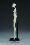 Muse of Spirit: Spector Blank