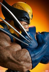 Wolverine