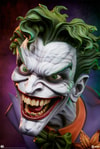 The Joker™ View 23