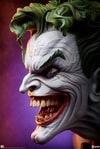 The Joker™ View 4