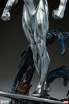Silver Surfer Collector Edition View 19