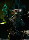 Xiall - Osteomancers Vision View 2