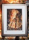 Terminator The Burning Earth Exclusive Edition View 2